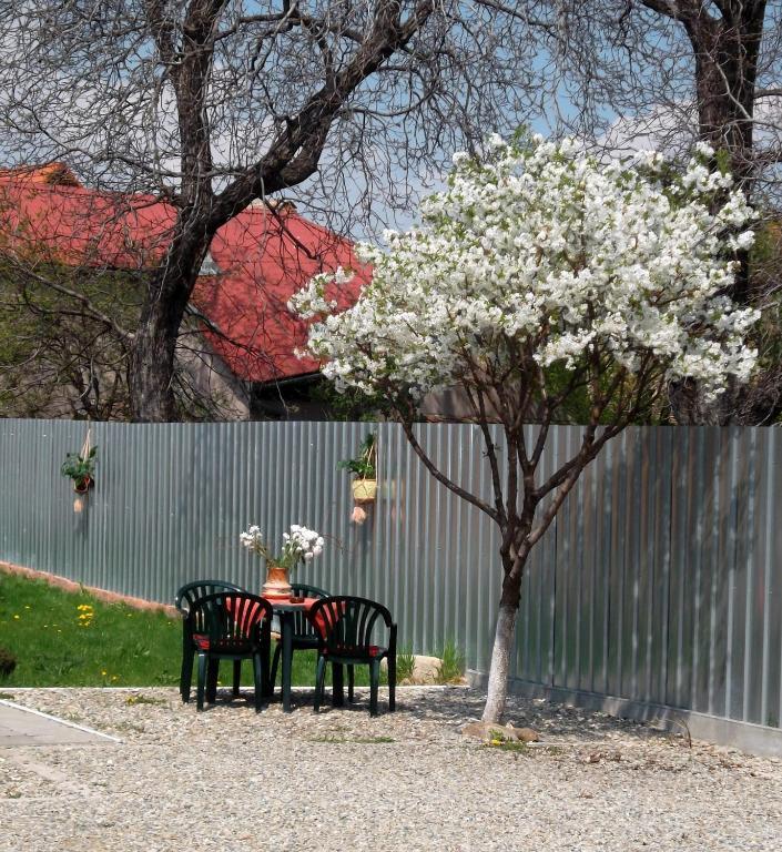 Pension Casa Sibianului Sibiu Buitenkant foto